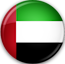 UAE flag